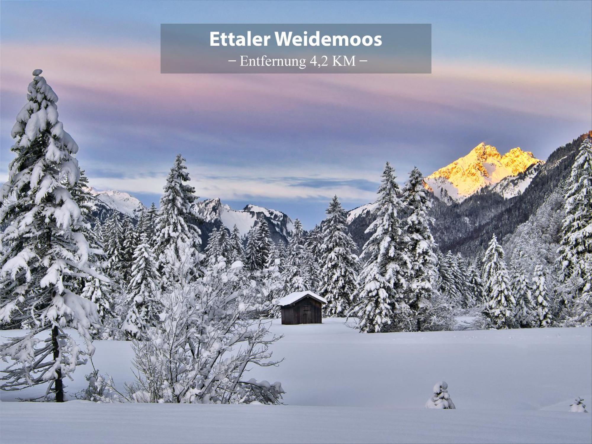 Montana - Ferienwohnung Am Laber Oberammergau Exteriör bild